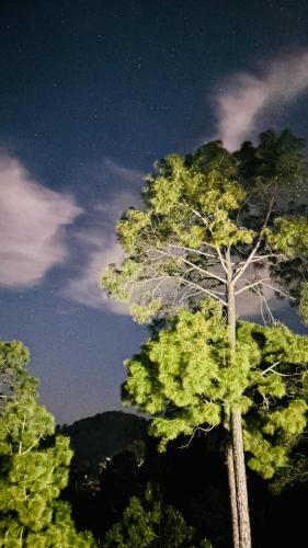 Four Bedroom Villa Kasauli l Balcony l Mountain View - Traking - Family Groups & Events - Kasauli