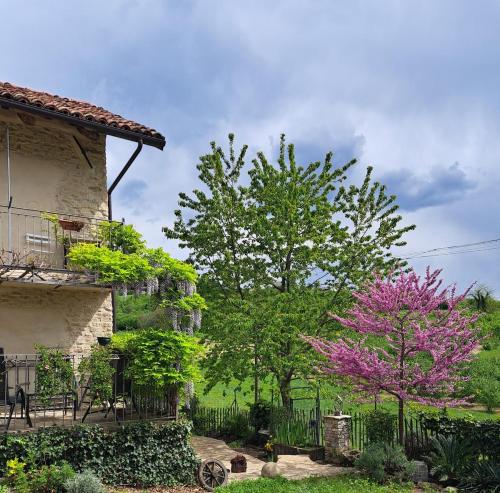 La Vita è Bella (La Vita e Bella) in Bonvicino