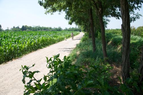 Cascina delle Mele – Vittuone, DC
