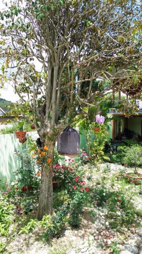 Líu homestay (Liu homestay) in Hiep An