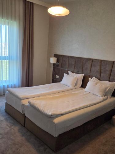 . Hotel Goran Pandev