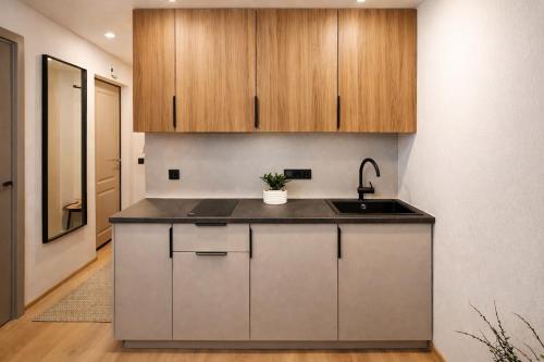Beautiful 2 rooms apartment near the lake in Trakai