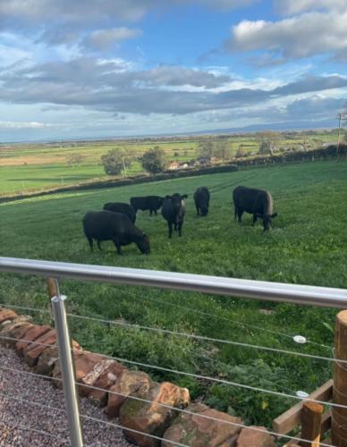 Caerlaverock Glamping - Sycamore in Blackshaw (Dumfries and Galloway)