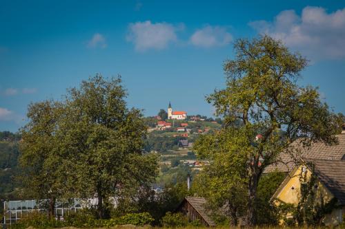 Houses and Apt in Smarjeske Toplice Kranjska Krain 26042 in สมาเรียสเกโทพลิซ