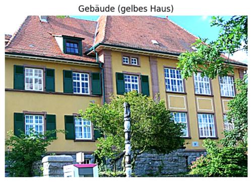 Gasthof zur Rose in 韋因海姆