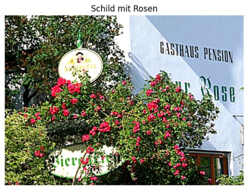 Gasthof zur Rose in 韋因海姆