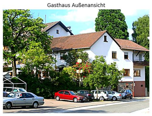Gasthof zur Rose in 韋因海姆