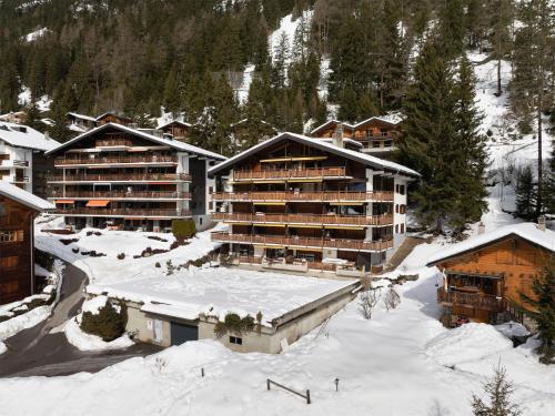 Apartment Parc C013 by Interhome in Champex