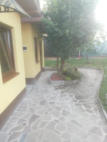 Ubytování U Javoru (Ubytovani U Javoru) in Velké Pavlovice