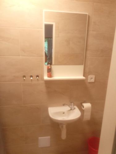 Ubytování U Javoru (Ubytovani U Javoru) in Velké Pavlovice