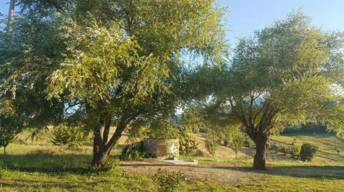 Casa Vincenza in 奇維泰拉德爾特龍托