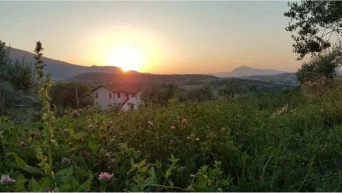 Casa Vincenza in 奇維泰拉德爾特龍托