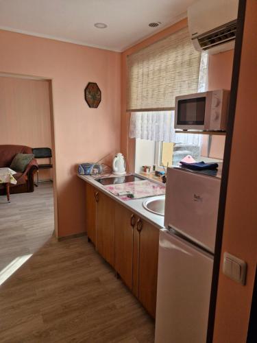 Ozolu street apartment in 温特斯皮尔斯