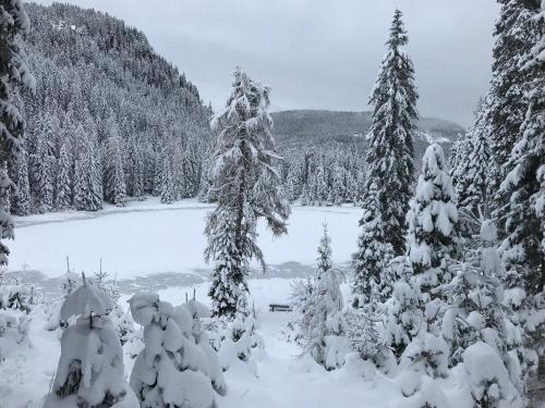 TANAs Almhütte (TANAs Almhutte) in Deutsch-Griffen