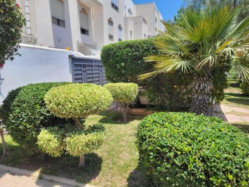 Appartement el Amber in Sidi Daoud