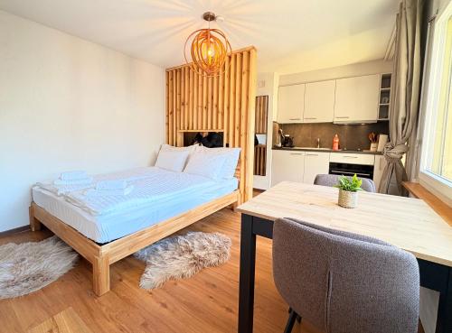 City Studio in Interlaken mit Parkplatz