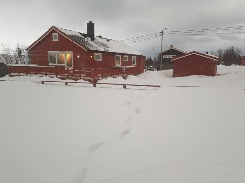Hjem på Vadsøya (Hjem pa Vadsøya) in 瓦德瑟