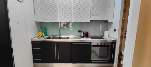 Visconti apartment. - image 24