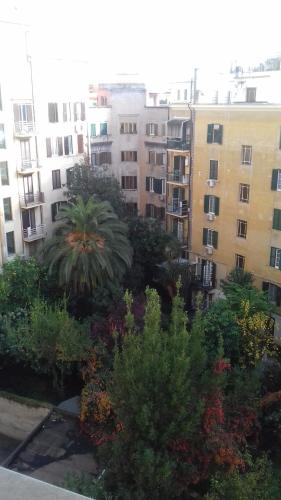 Room 14 – Rome