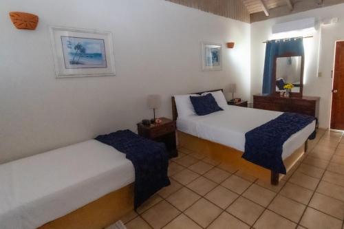 Superior View Room in Falmouth