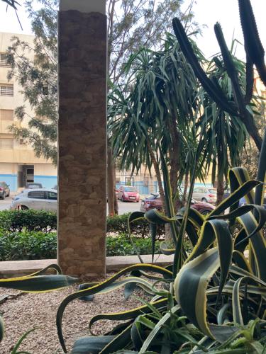 Suite royale apartement in Al Mohammadi