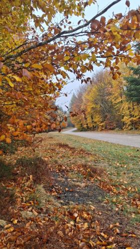 Mas gîte à louer Mandagout