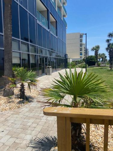 Whispering Winds - Oceanfront View - Family Friendly - Sleeps 4 5