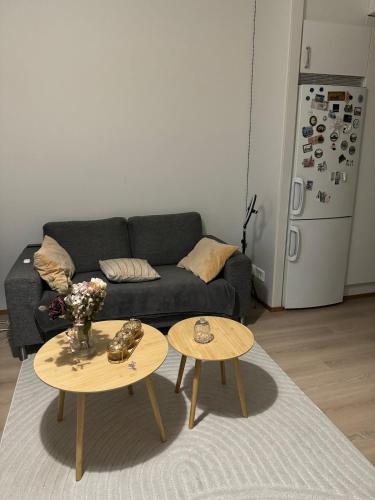 cozy apartment in Rastila in 拉斯提拉