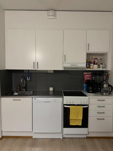 cozy apartment in Rastila in 拉斯提拉