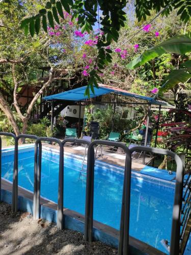 Papaya Wildlife Lodge in Puerto Limon