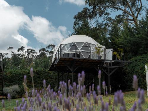 Domo Pajcha, Samaipata Glamping