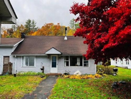 Abeni Cottage - Quaint Cottage with Peloton & Sauna near Hiking in Mount Tremper, USA