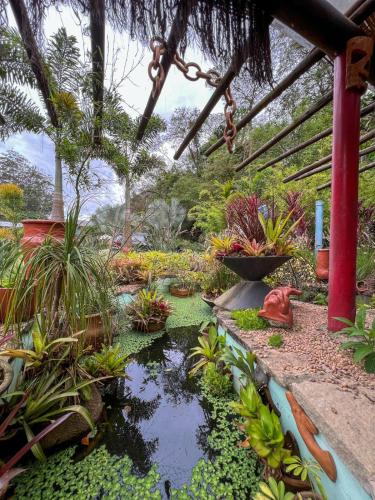 Vrt, Casa do Alto - Pet Friendly in Moura Brazil