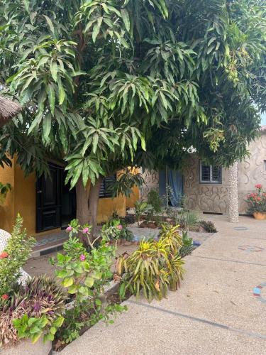Chez Aicha Ndangane in Ndangane