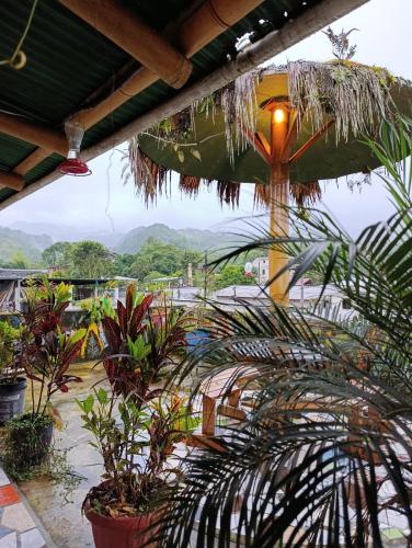 Golden Bird in 明多