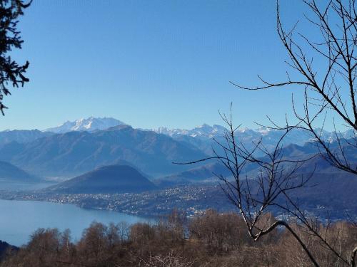 Apkārtne, Alma botanic house in Brissago Valtravaglia