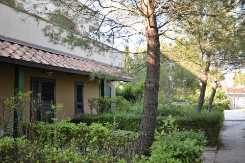 Hotel Fattoria Belvedere