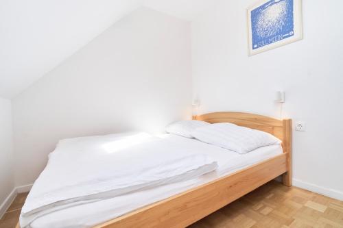Ljubljana City Dragon Apartment, Lublaň (fotografie 9)