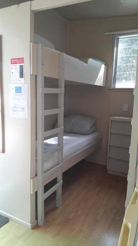 Dickson Holiday Park - Accommodation - Thames