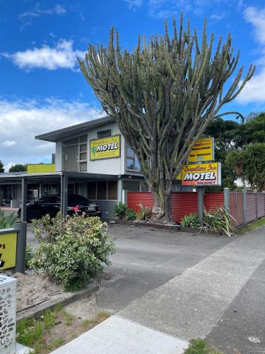 Travellers Inn Motel - Accommodation - Gisborne