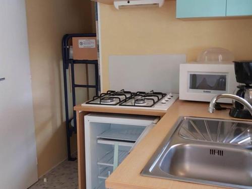 Mobil home avec terrasse - 3 pers. - API-1-52-2036 in La Tour-d'Auvergne