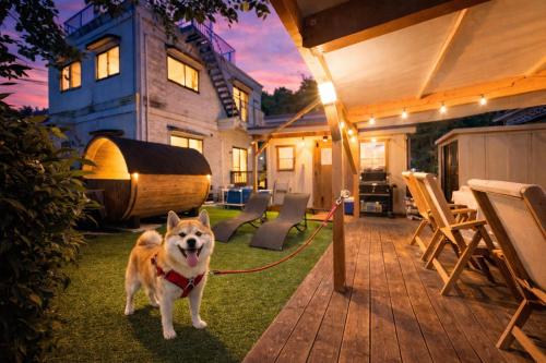 イヌサウナリゾート伊豆白浜 愛犬と焚火とバレルサウナの暖かいヴィラ, Šimoda