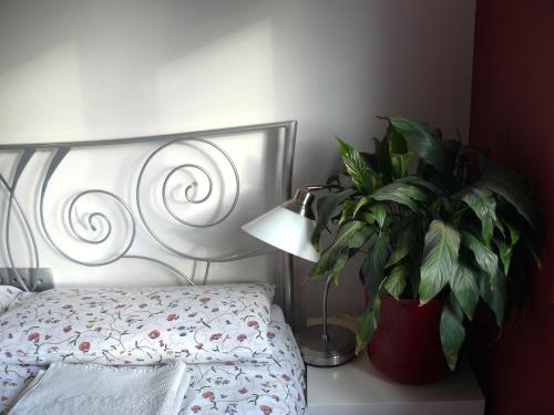 Celic Art Apartments - image 5