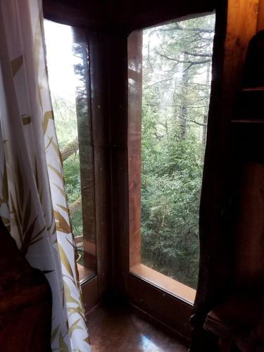 Secluded Treehouse Hideaway with Firepit and Forest Views in Bodega Bay, California in Bodega (CA)