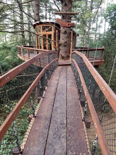 Secluded Treehouse Hideaway with Firepit and Forest Views in Bodega Bay, California in Bodega (CA)