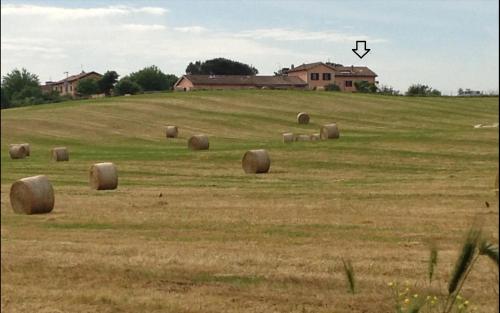 CasalFattoria, Rom (Foto 3)