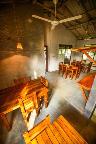 Lizard Safari Lodge in Udawalawe
