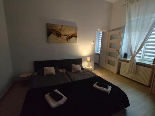 City Center Apartment - bezpłatny parking (City Center Apartment - bezplatny parking) in Elk
