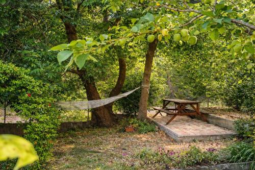 Apkārtne, Sunshine Home - Peaceful Garden Escape & Parking in Longos Aegio