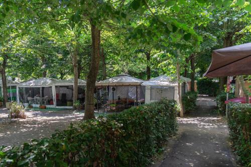 Camping Vigna di Valle 3